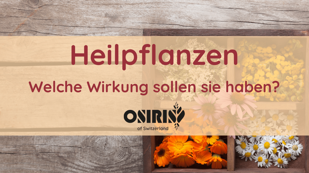 Heilpflanzen