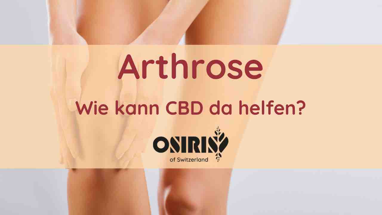 Kniearthrose CBD